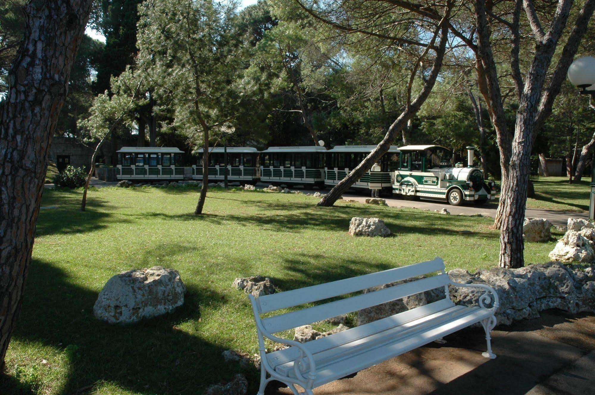 Phasiana Fažana